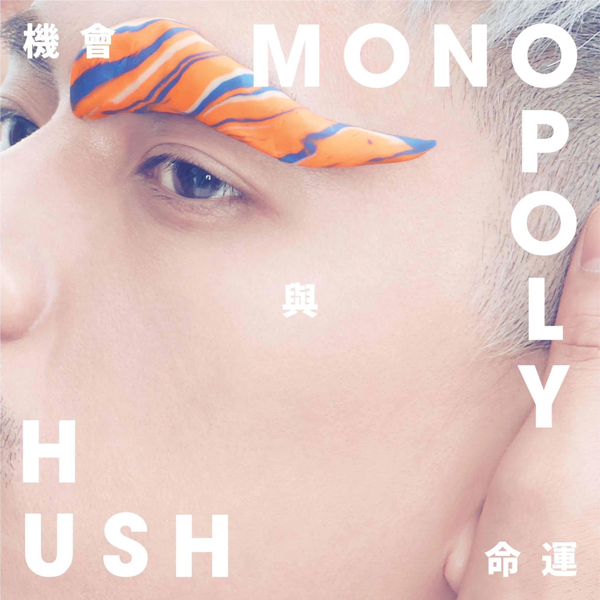 機會與命運 album cover