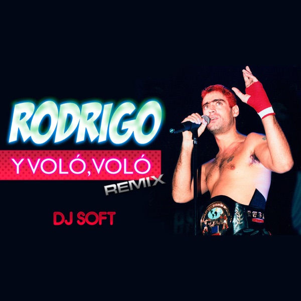 Y Voló Voló (Remix) - Single album cover