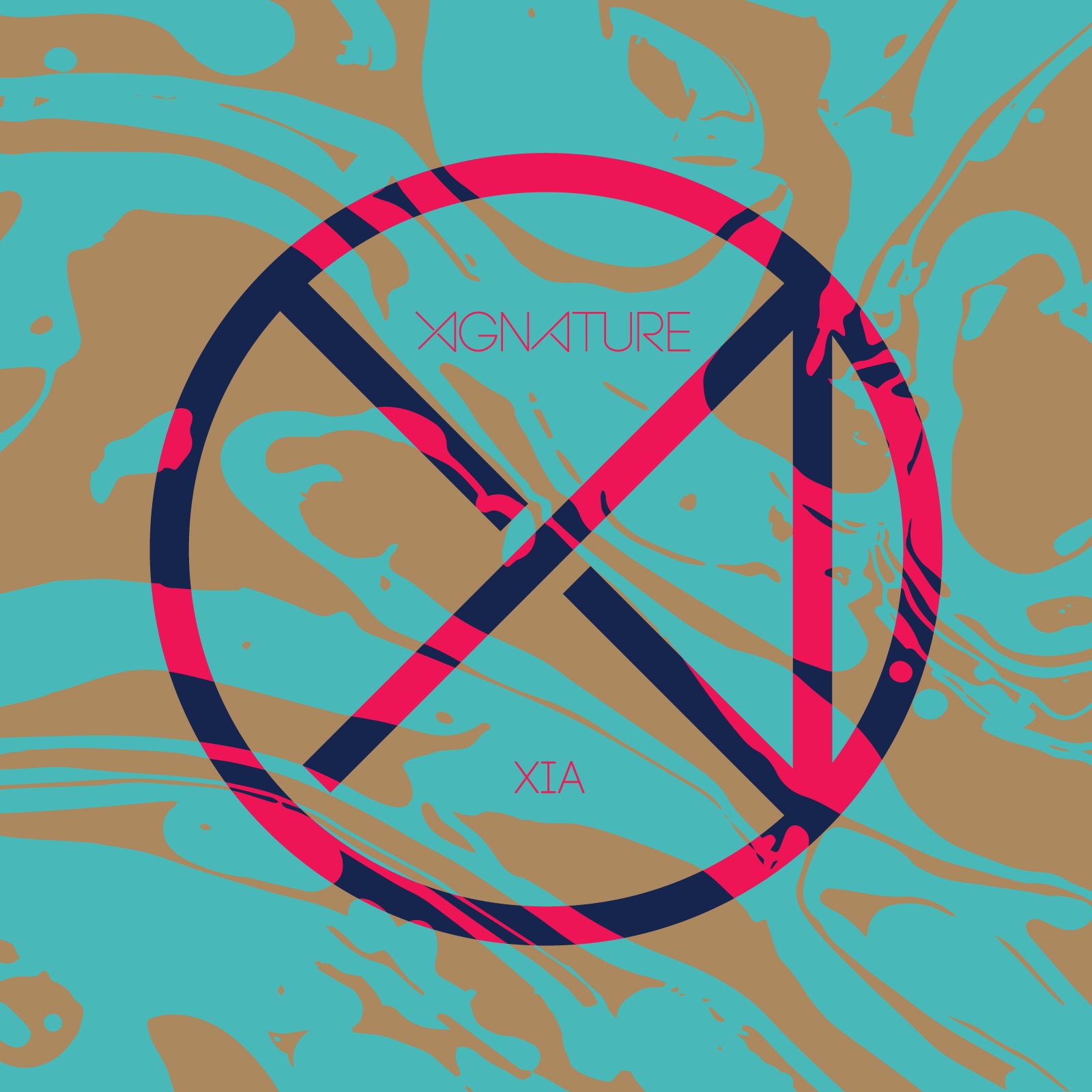 XIGNATURE album cover