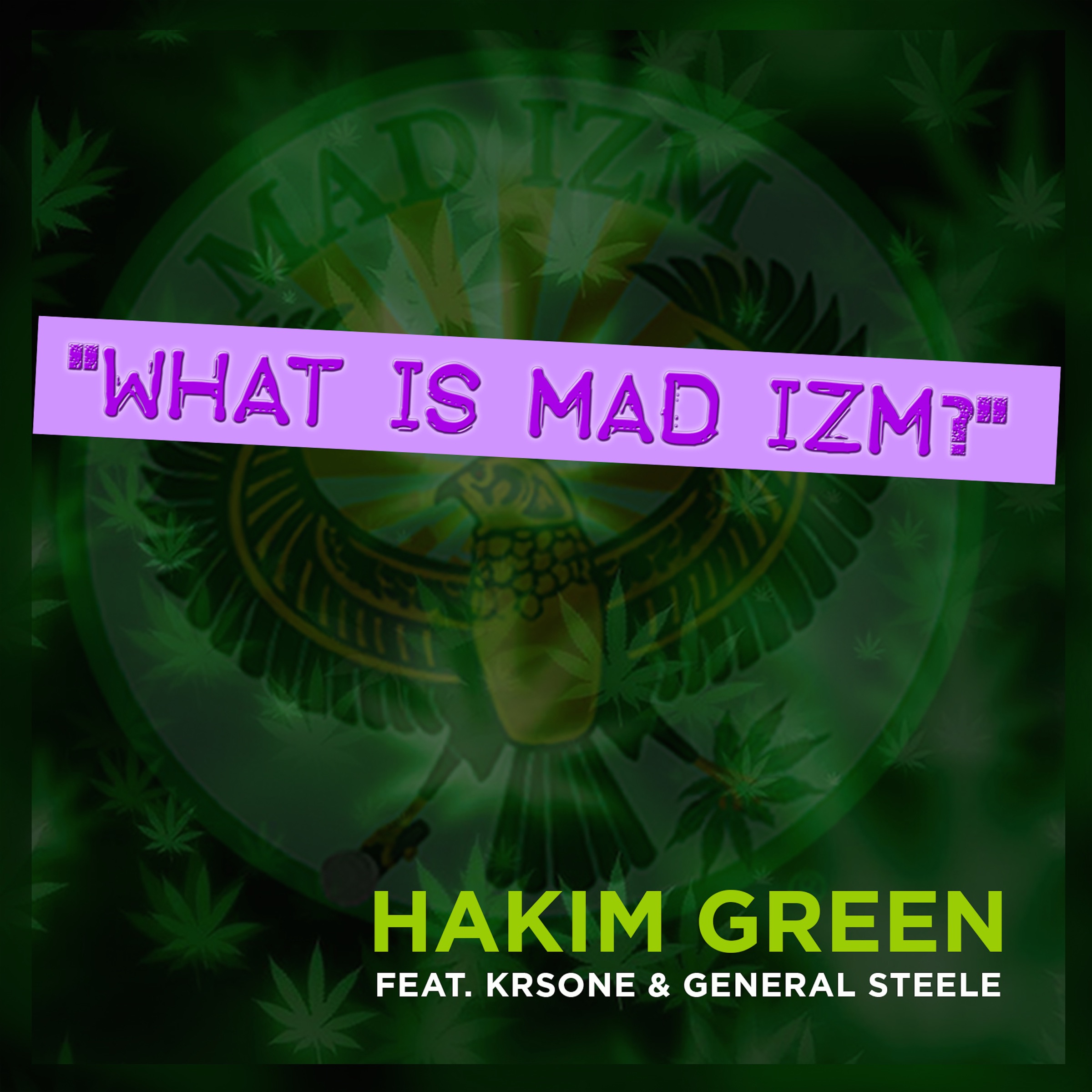 What Is Mad Izm? (feat. KRS-One & General Steele) - Single album cover