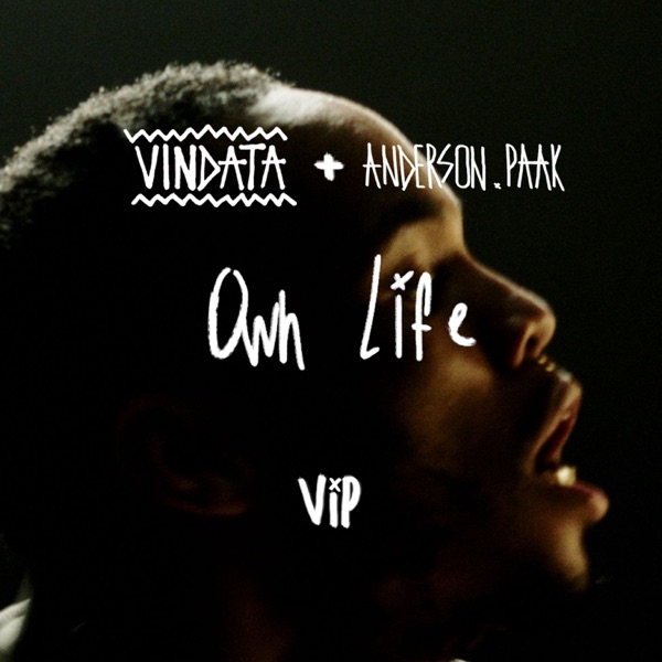 Own Life (feat. Anderson .Paak) [VIP Mix] - Single album cover