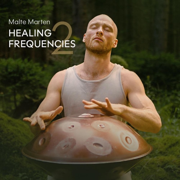 Healing Frequencies 2 album cover