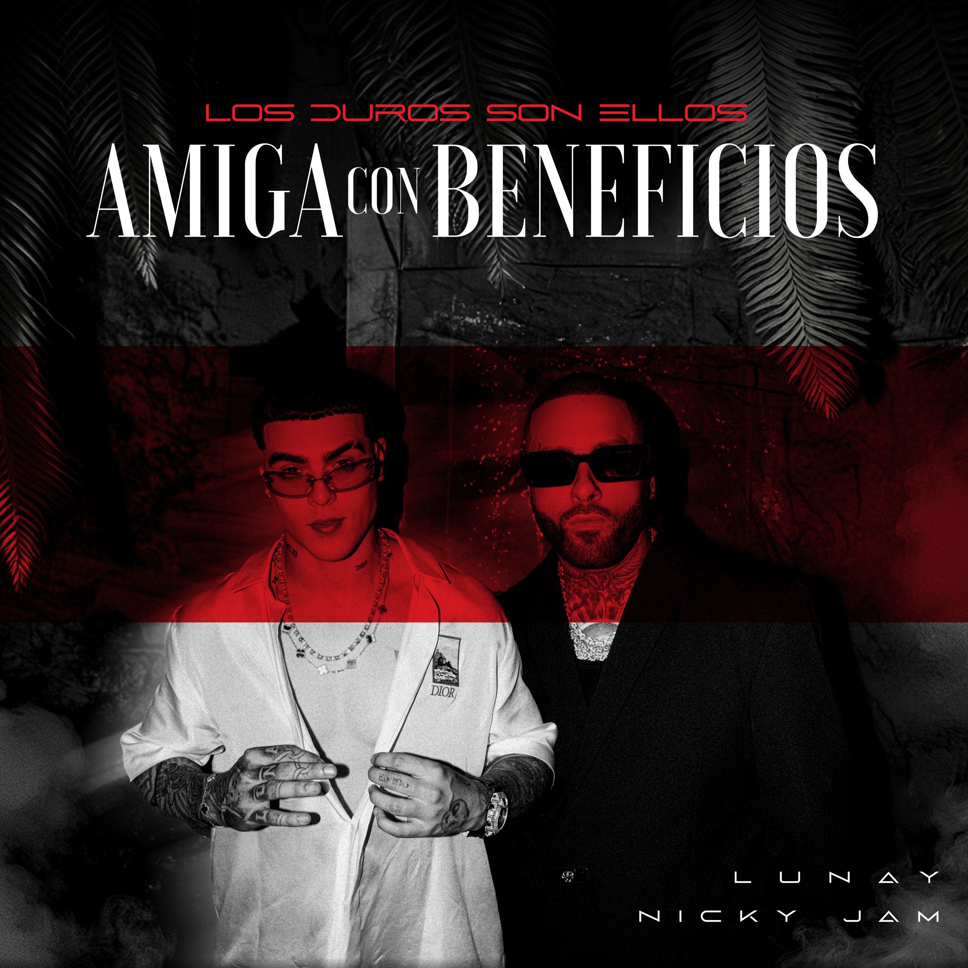AMIGA CON BENEFICIOS - Single album cover