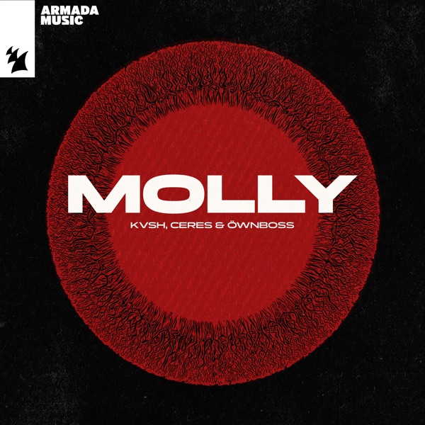 Molly - Single album cover