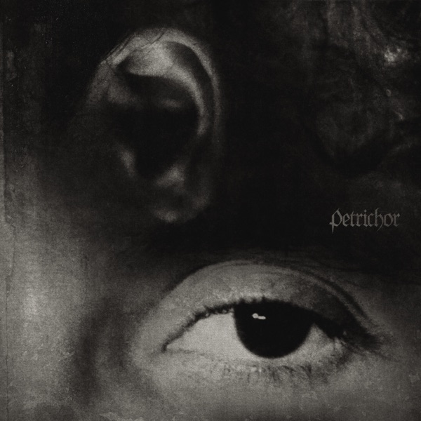 Petrichor album cover