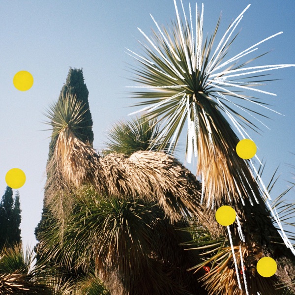 Pinie (Sébastien Léger Remix) [feat. orbit] - Single album cover