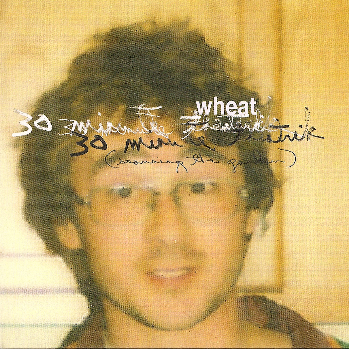 30 Minute Theatrik (Scanning the Garden) album cover