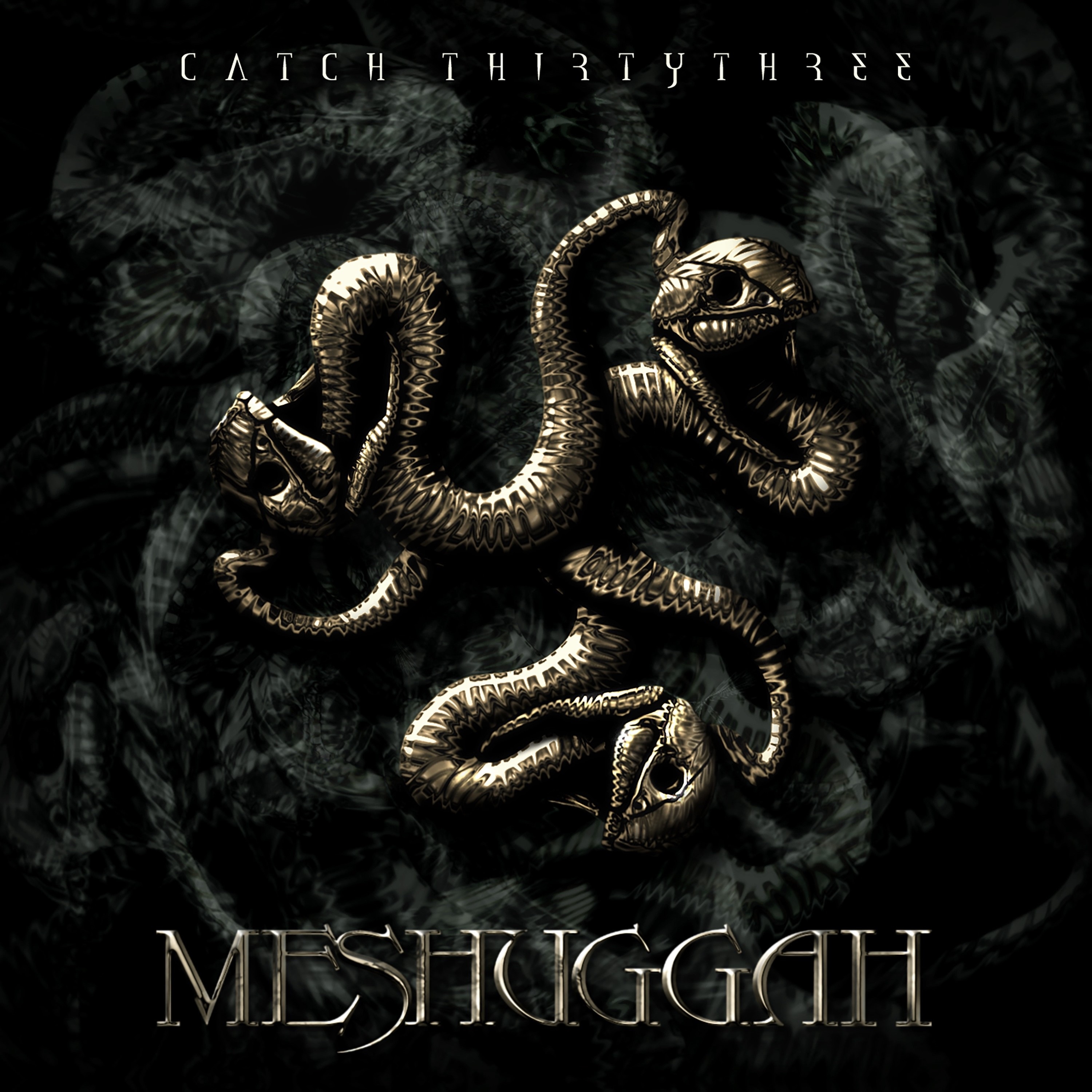 Catch Thirty Three album cover
