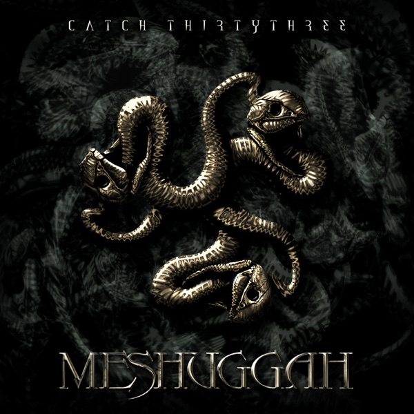 Catch Thirty Three album cover