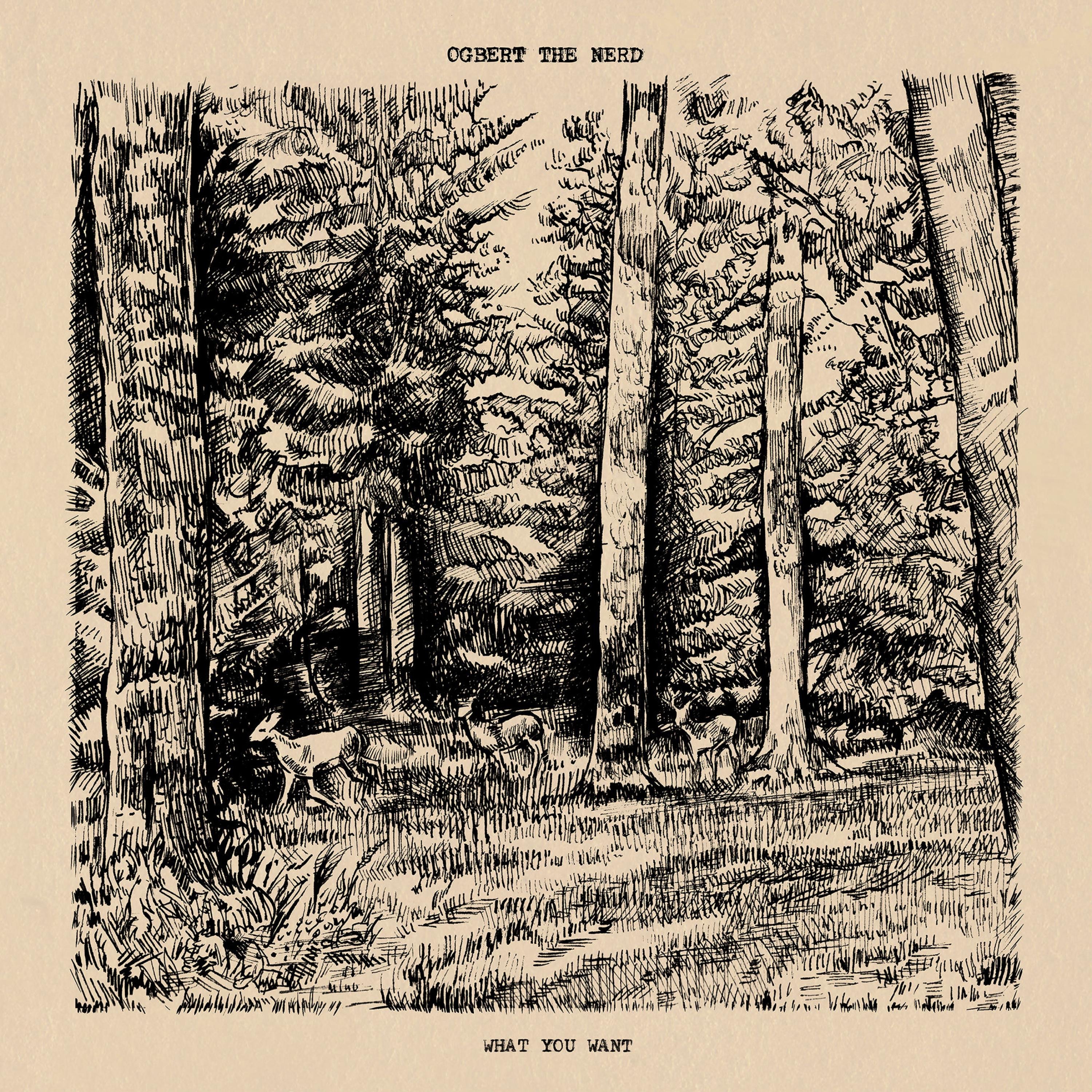 What You Want album cover