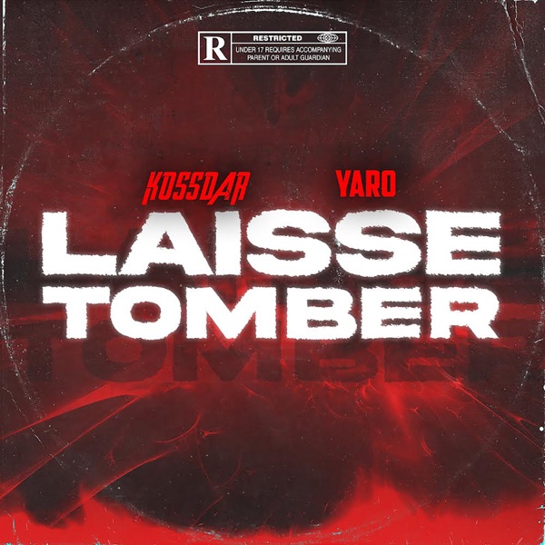 Laisse Tomber - Single album cover