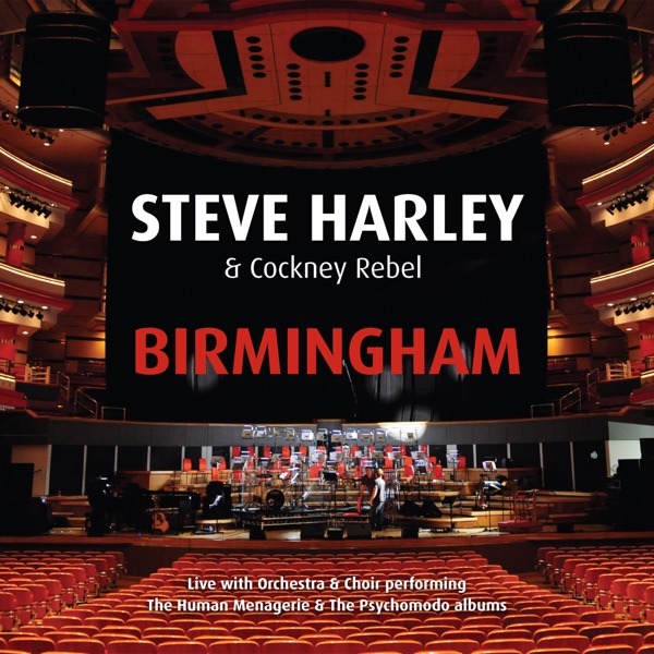 Birmingham - Live with Orchestra & Choir album cover