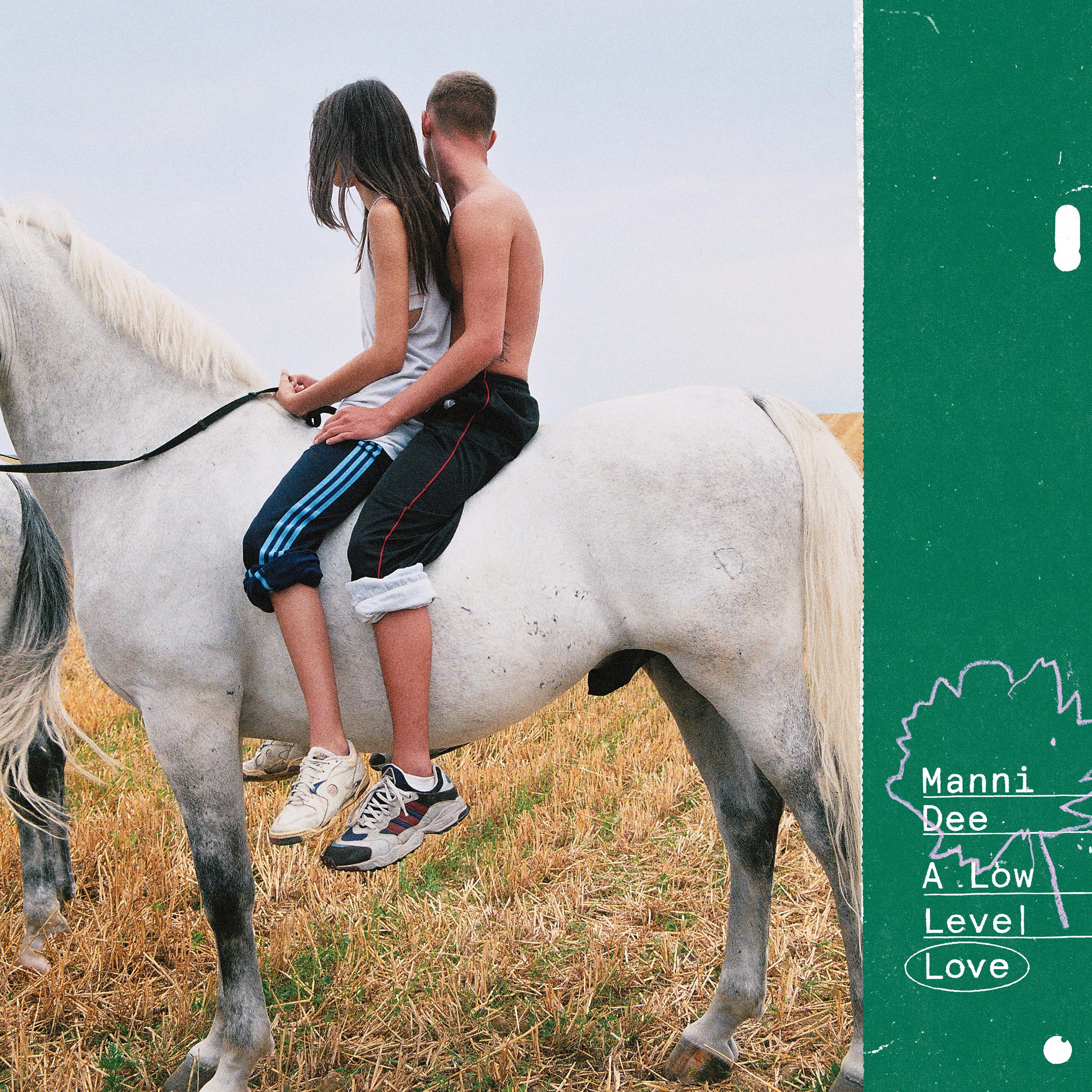 A Low Level Love (feat. Sylph, Chris Liberator) album cover