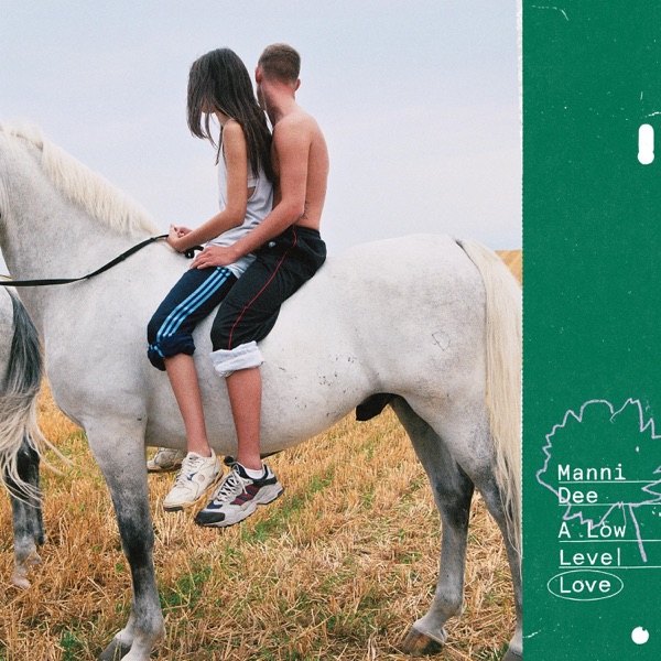 A Low Level Love (feat. Sylph, Chris Liberator) album cover