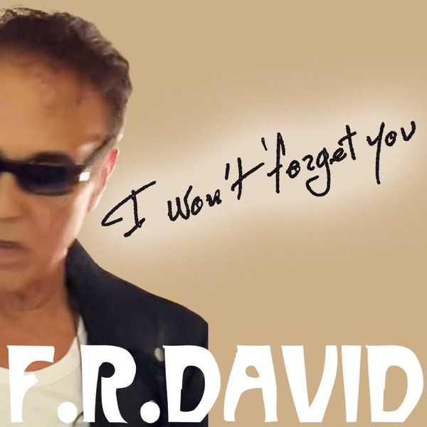 I WON'T FORGET YOU - Single album cover