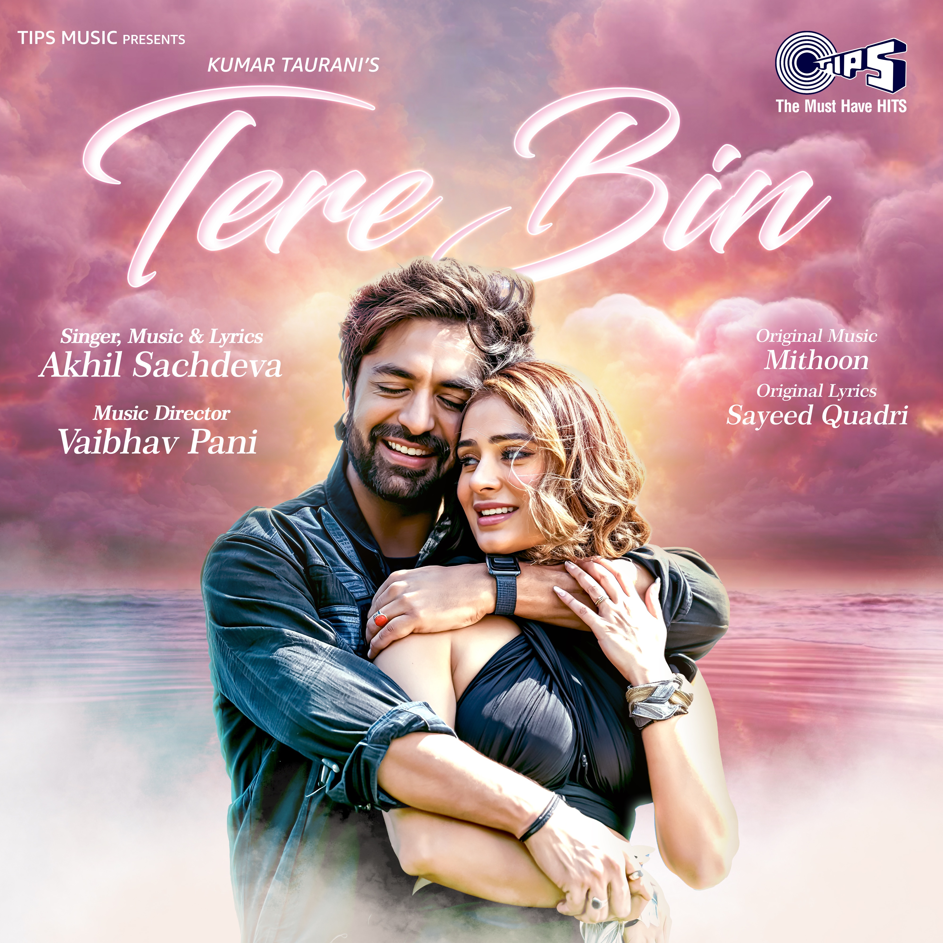 Tere Bin - Single album cover