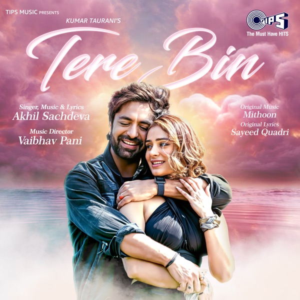 Tere Bin - Single album cover