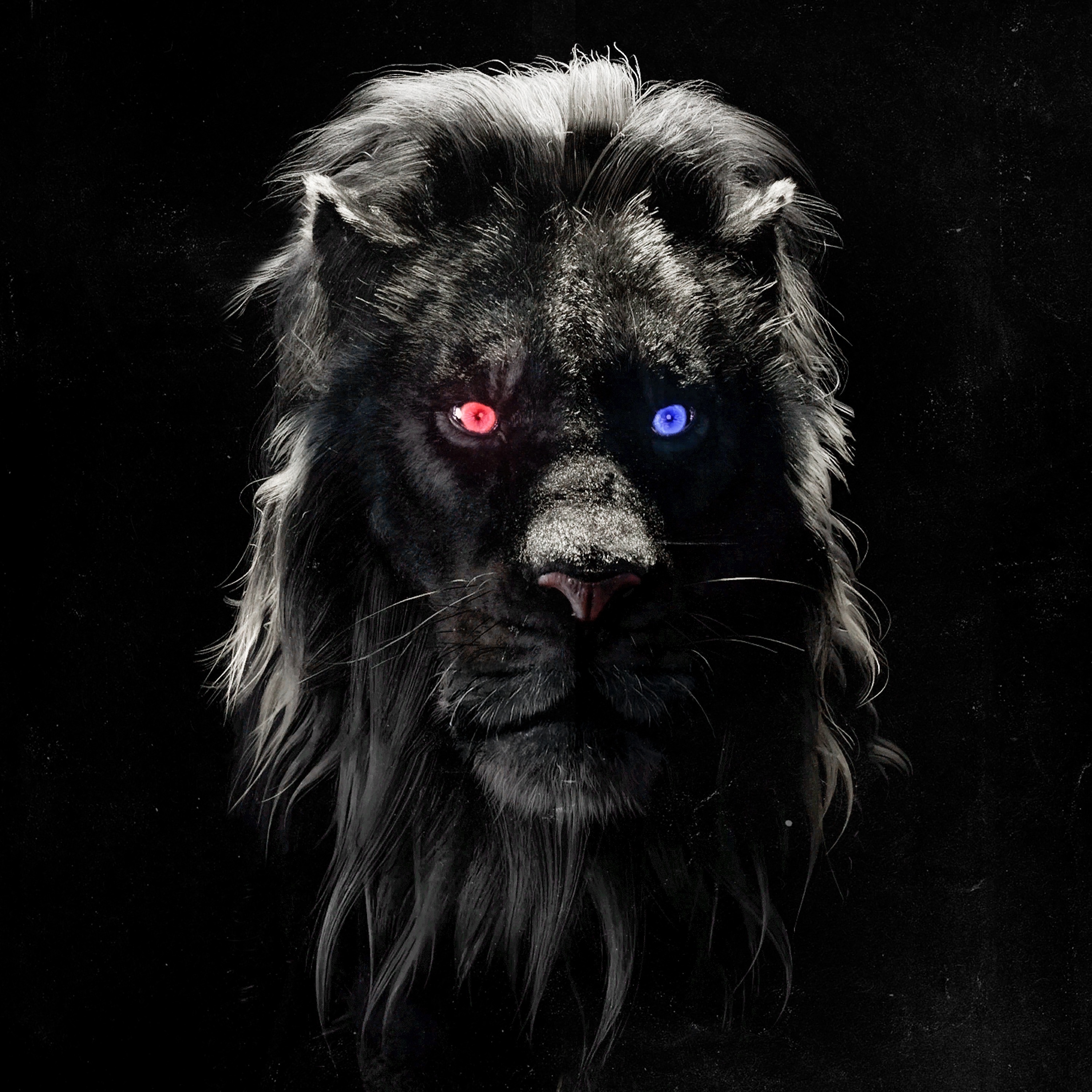 Afterparty - Single album cover