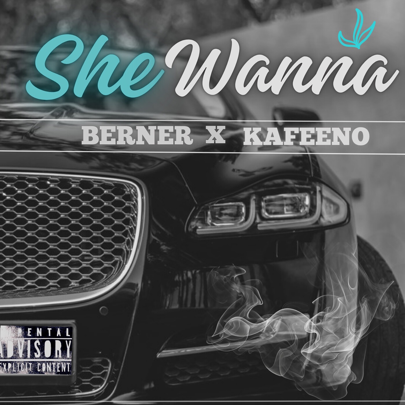 She Wanna - Single album cover