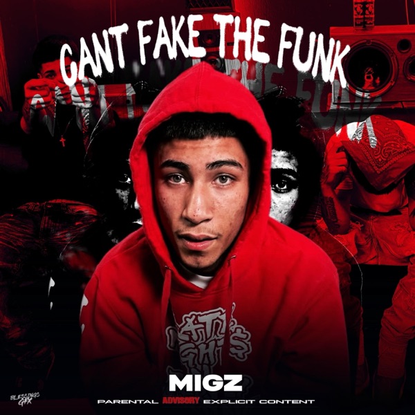 Can't fake The Funk - Single album cover