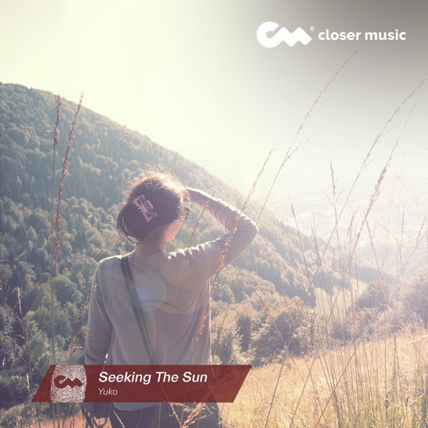 Seeking the Sun - Single album cover