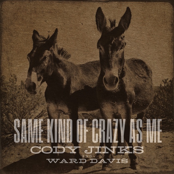 Same Kind of Crazy as Me (Duet with Ward Davis) - Single album cover
