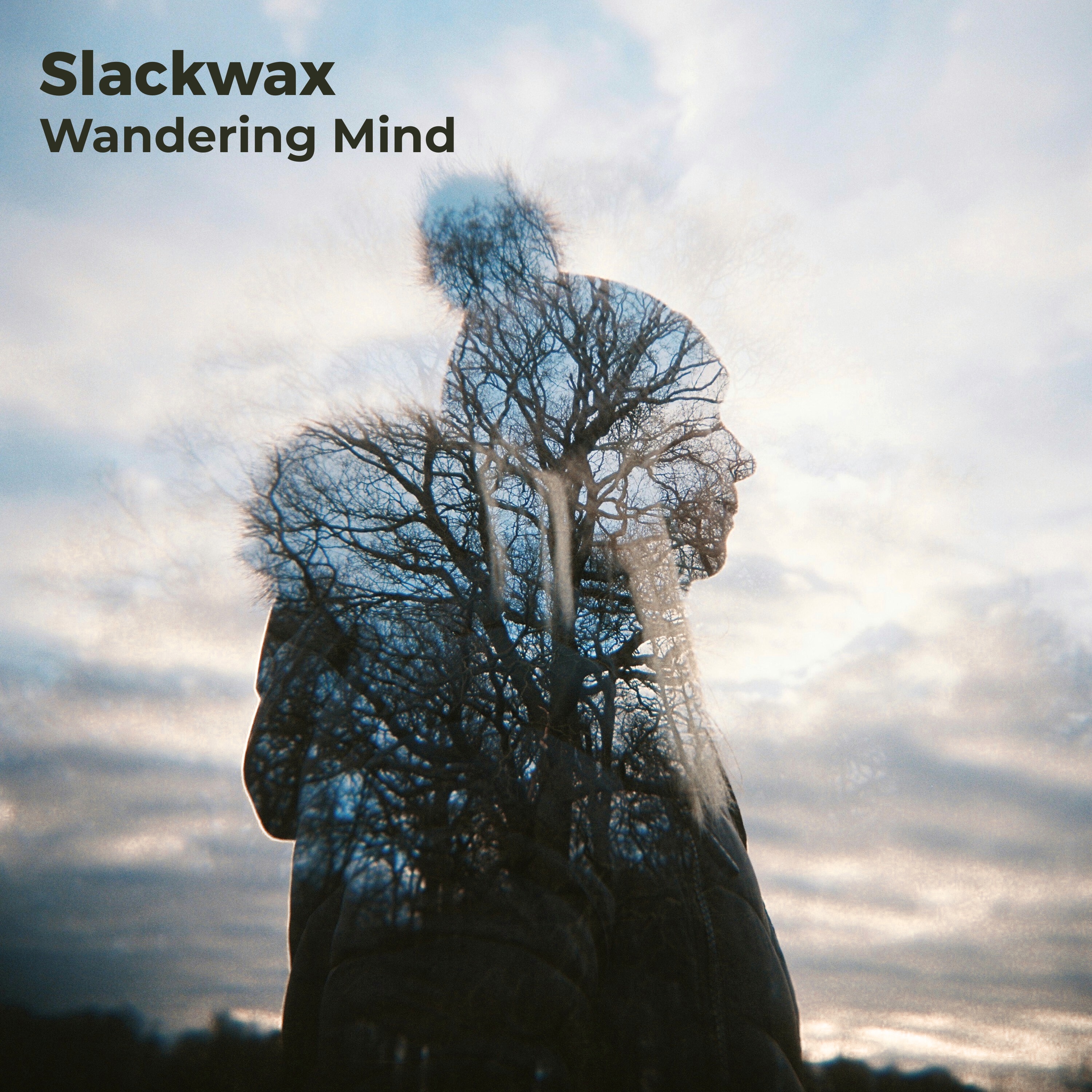 Wandering Mind - Single album cover