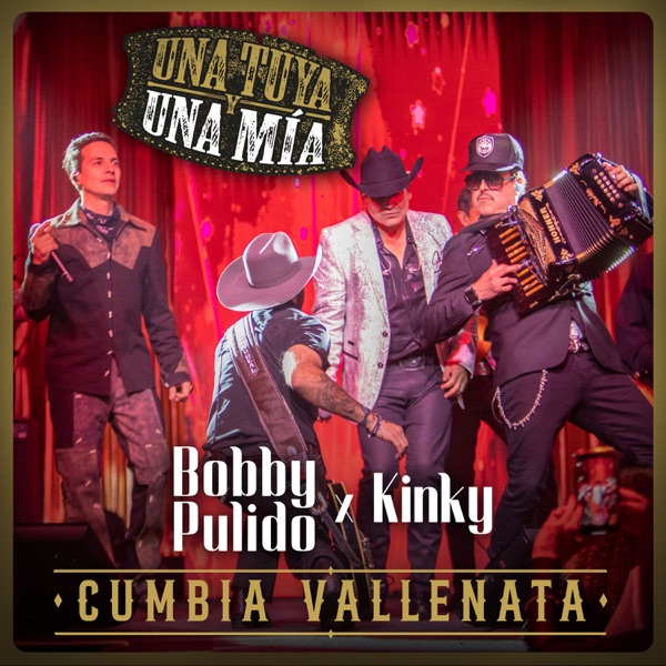 Cumbia Vallenata (En Vivo) - Single album cover