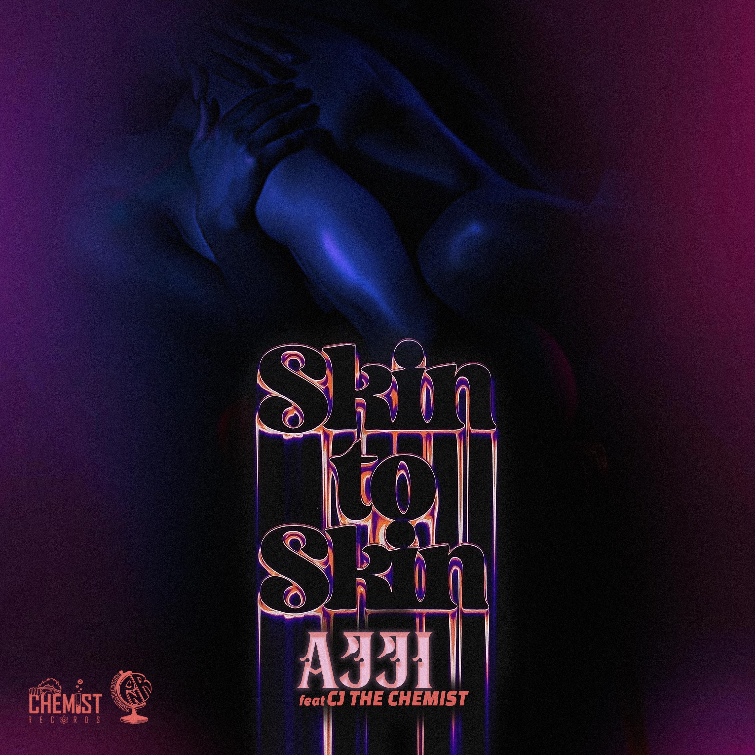 Skin to Skin - Single album cover