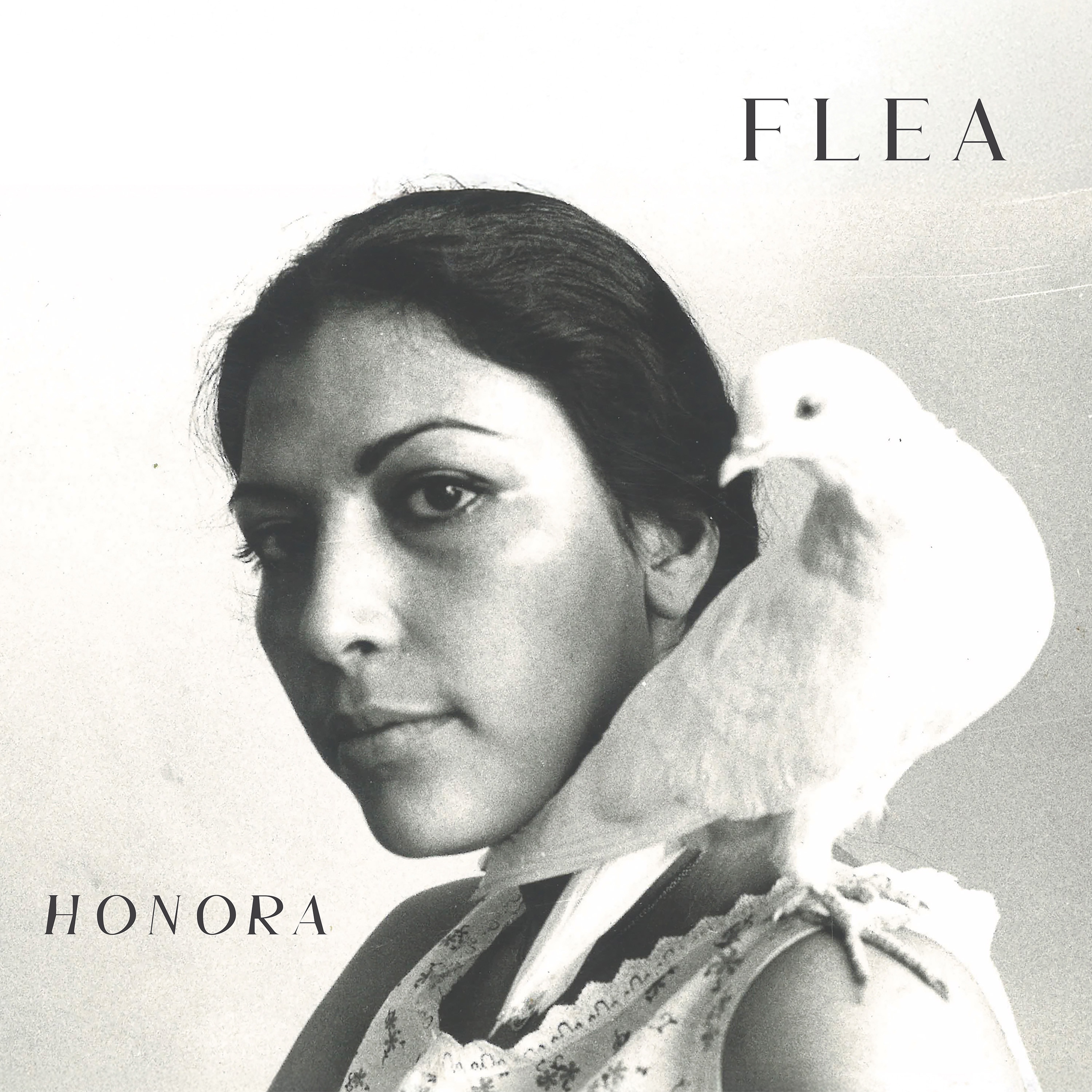 Honora album cover