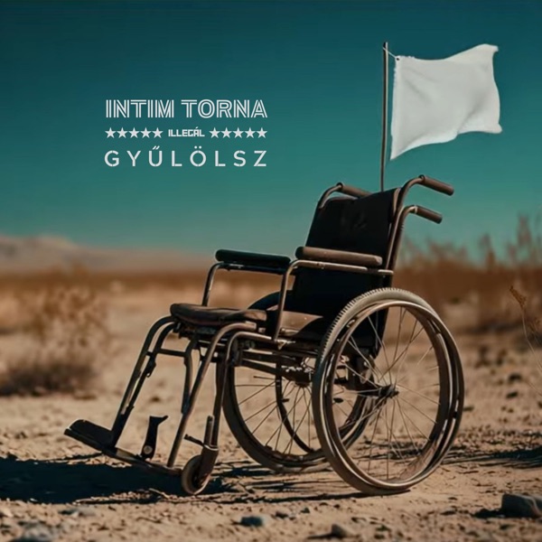 Gyűlölsz - Single album cover