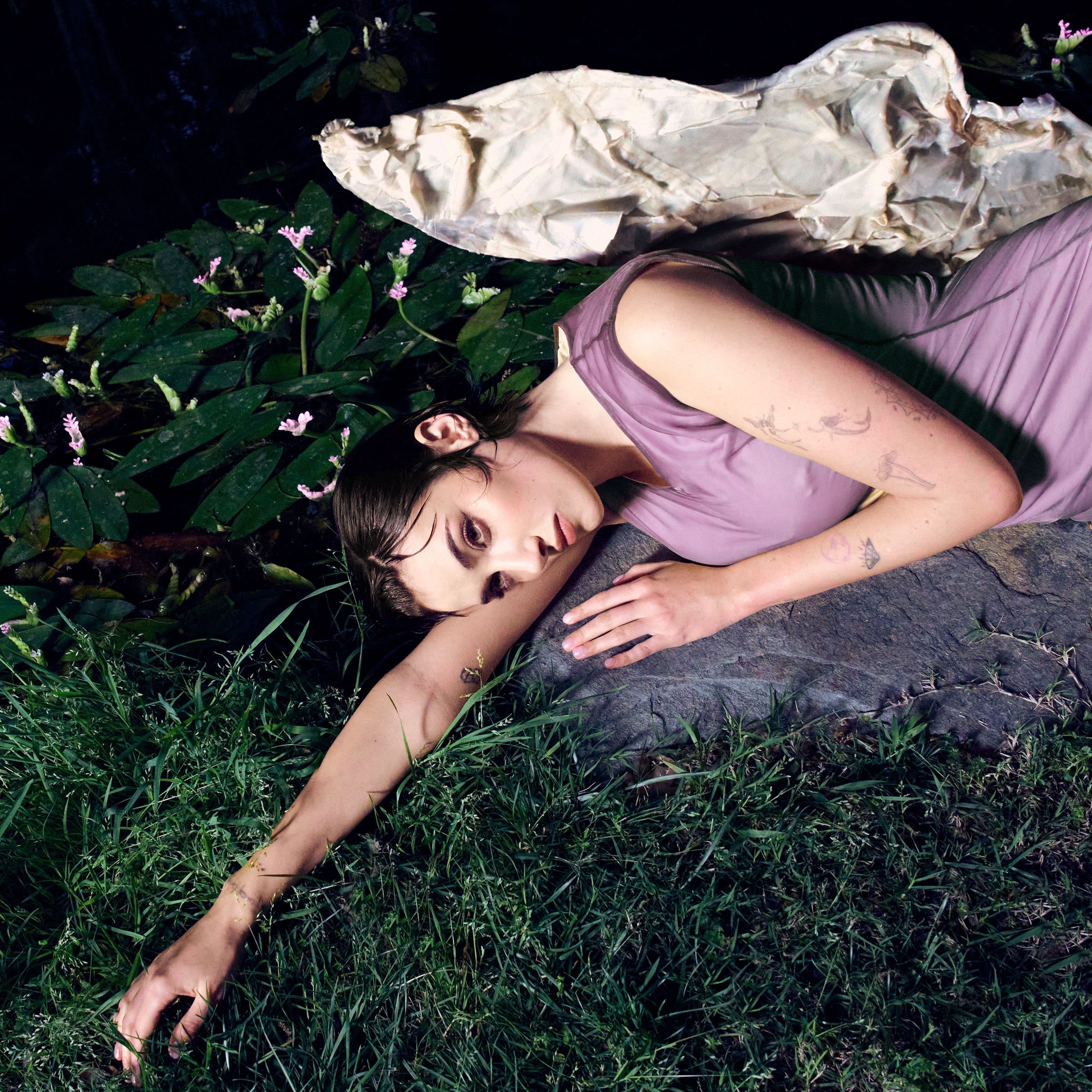 PIXIE album cover