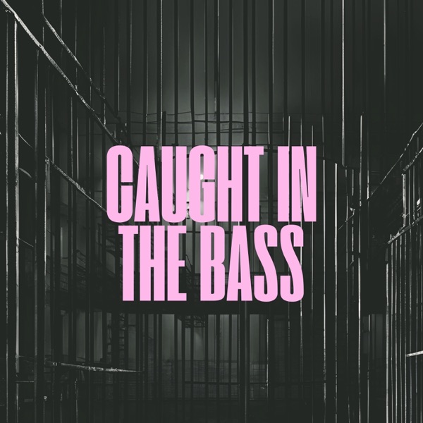 Caught In The Bass - Single album cover