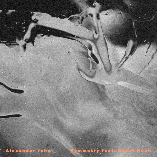 Symmetry (feat. Robot Koch) - Single album cover