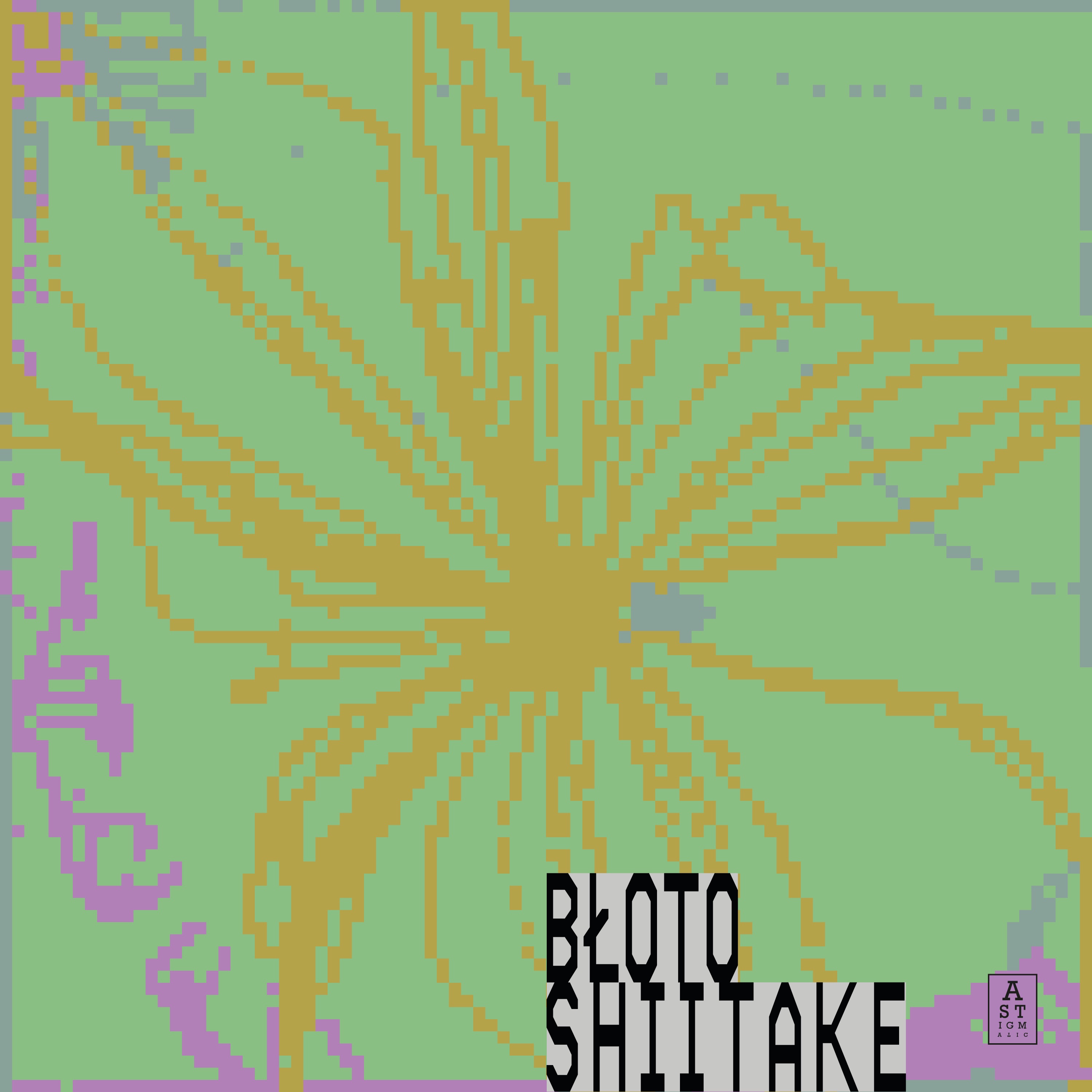 Shiitake - Single album cover