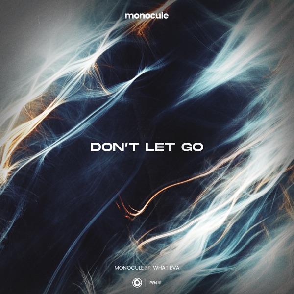 Don't Let Go (feat. WHAT EVA) - Single album cover