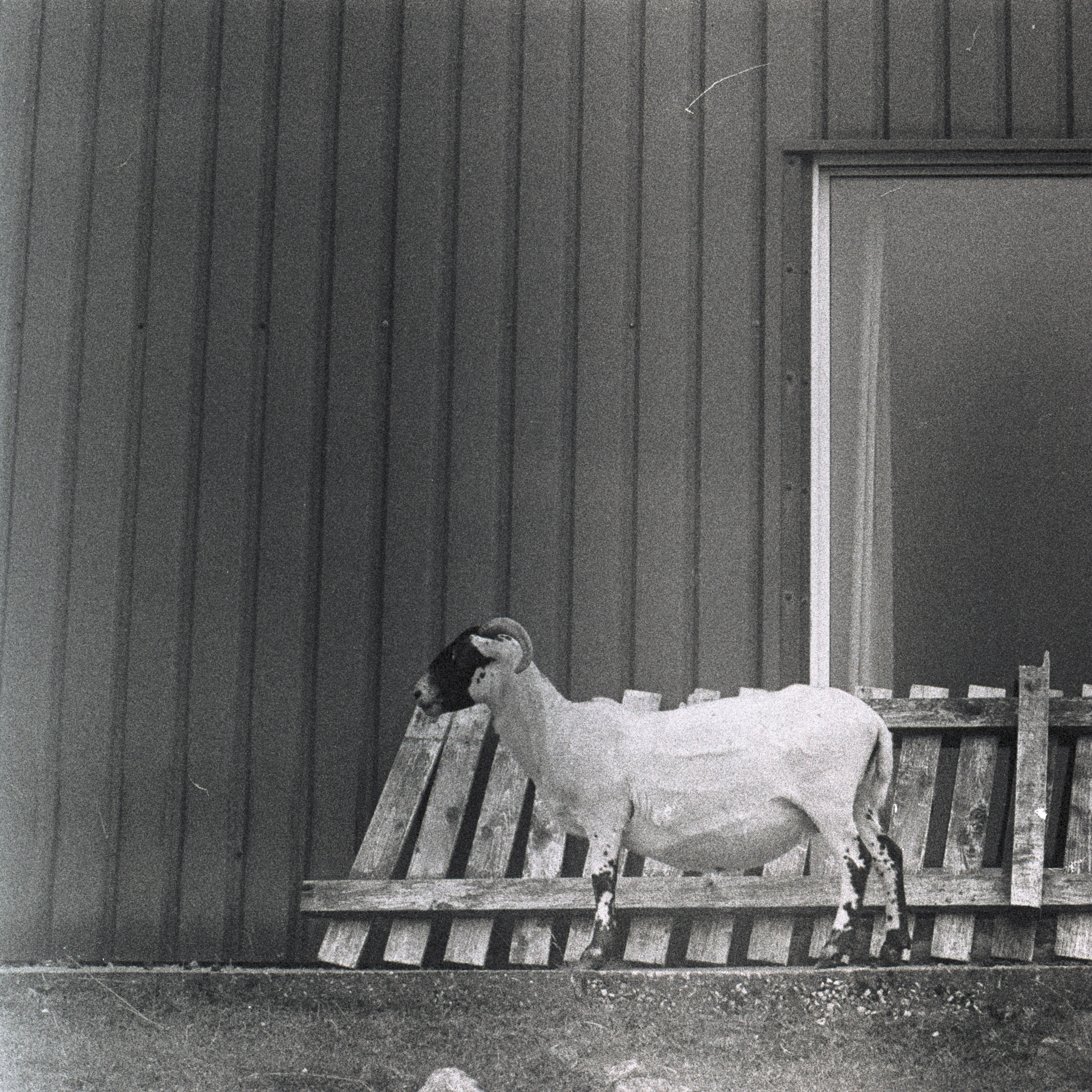 Stones Will Cry Out - EP album cover