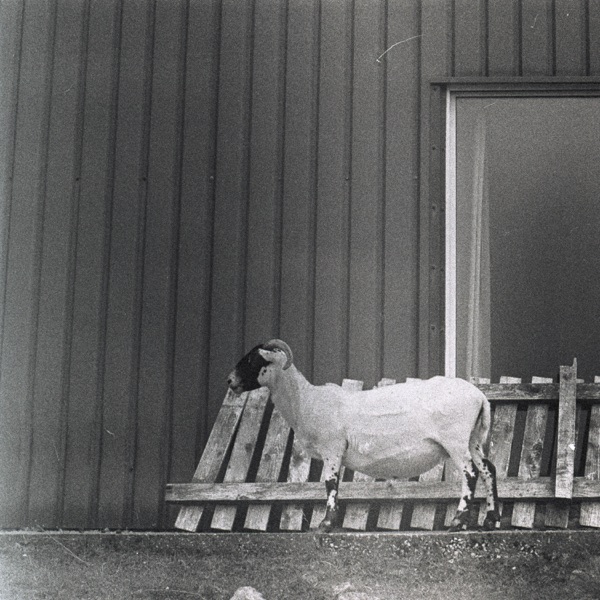 Stones Will Cry Out - EP album cover