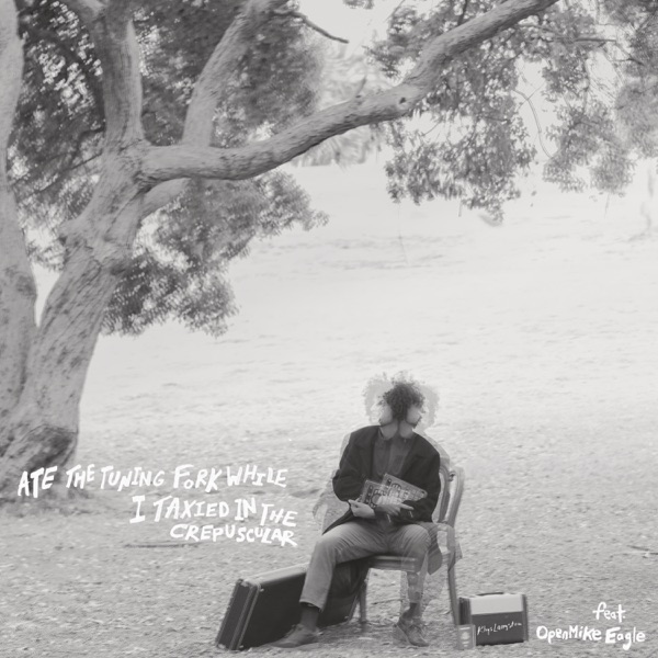 Ate the Tuning Fork While I Taxied in the Crepuscular - Single album cover