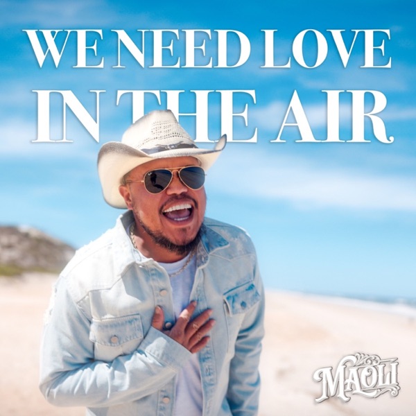 We Need Love in the Air - Single album cover