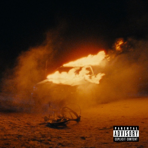 FIRE (feat. DC The Don) - Single album cover
