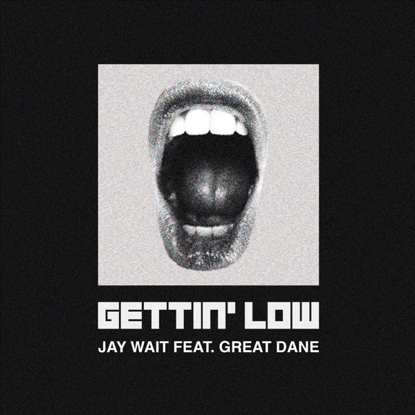 Gettin' Low (feat. Great Dane) - Single album cover