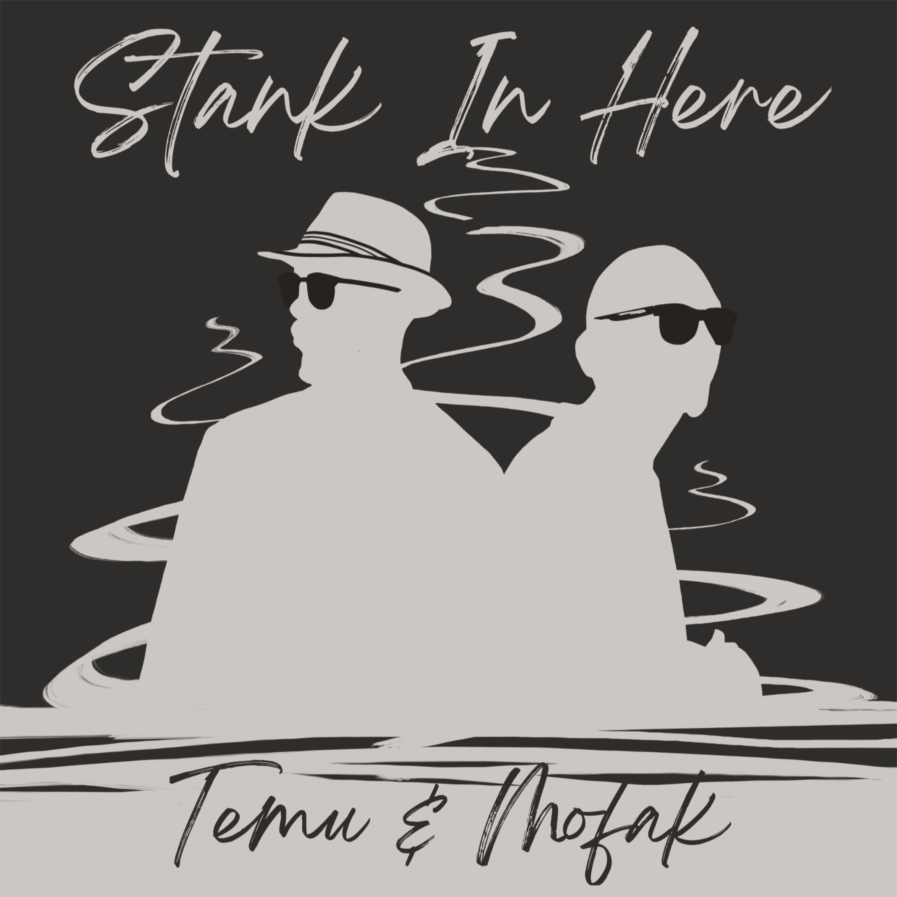 Stank In Here - Single album cover