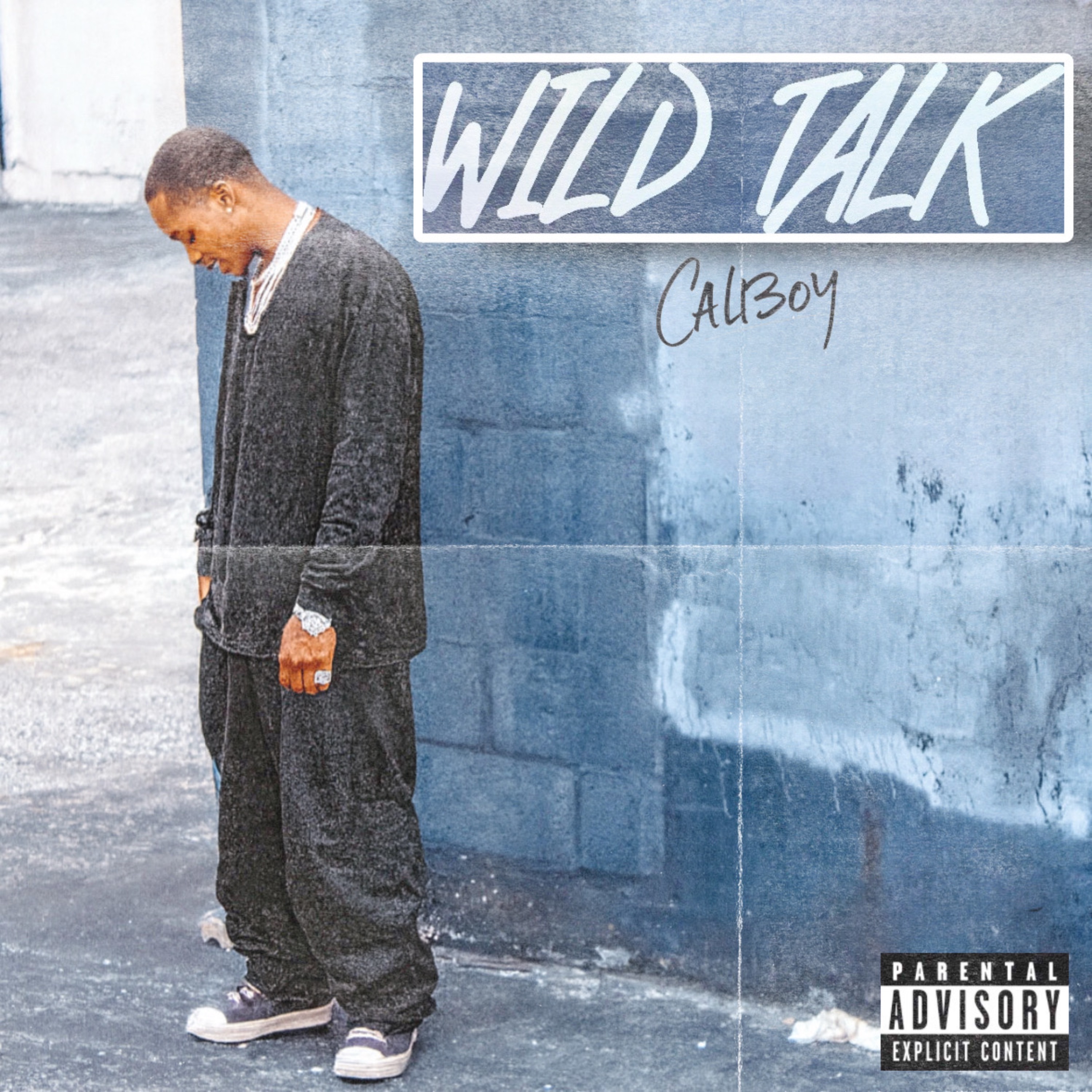 Wild Talk - Single album cover
