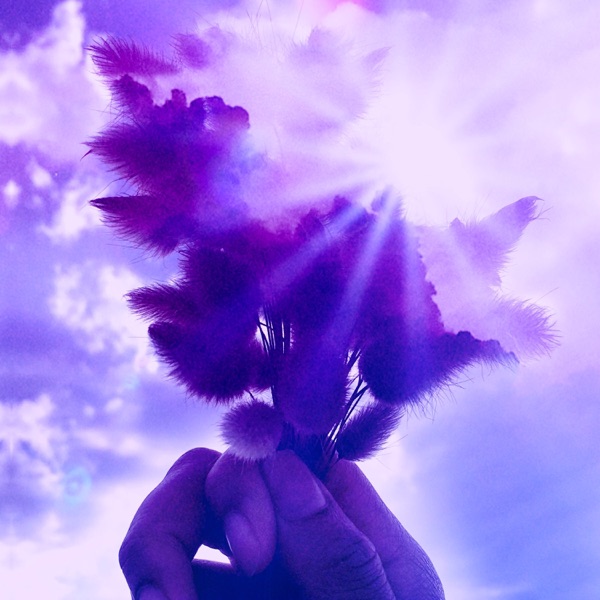 D'or et de lumière - Single album cover