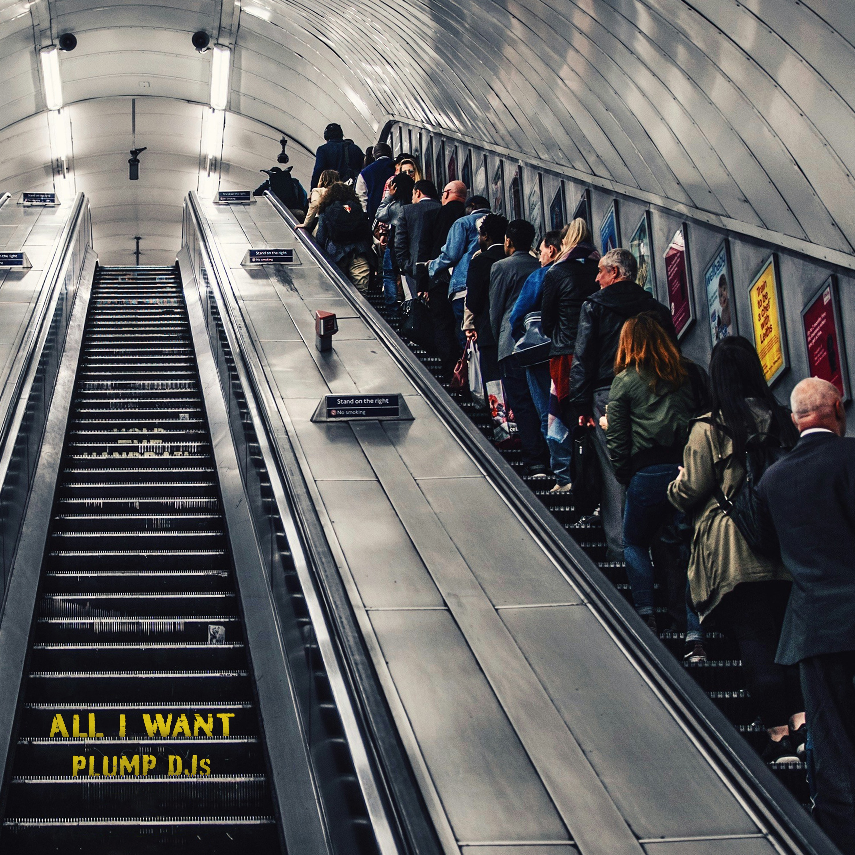 All I Want - Single album cover