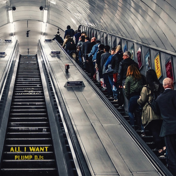 All I Want - Single album cover