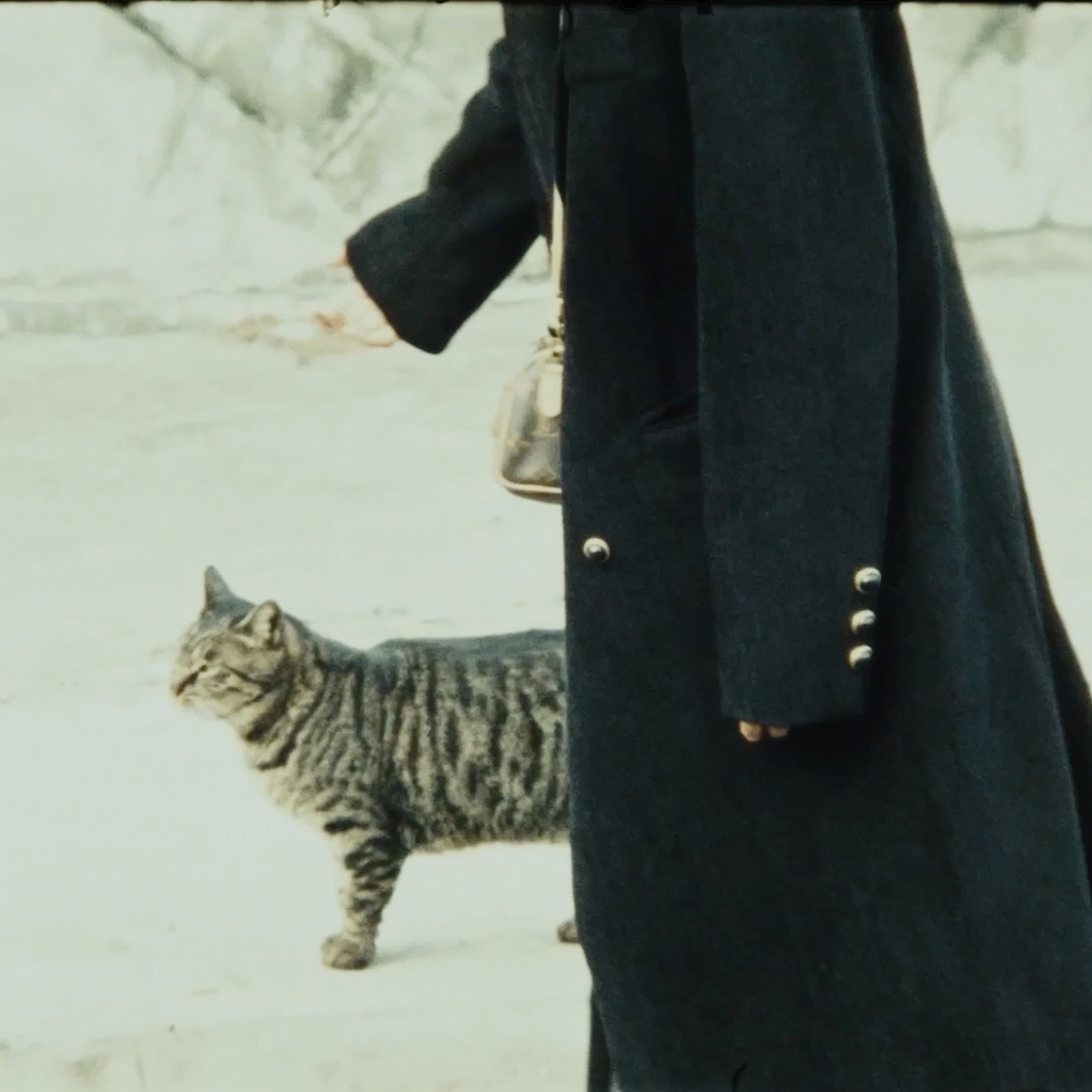 mementos album cover