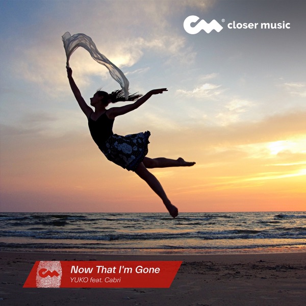 Now That I'm Gone (Instrumental) - Single album cover