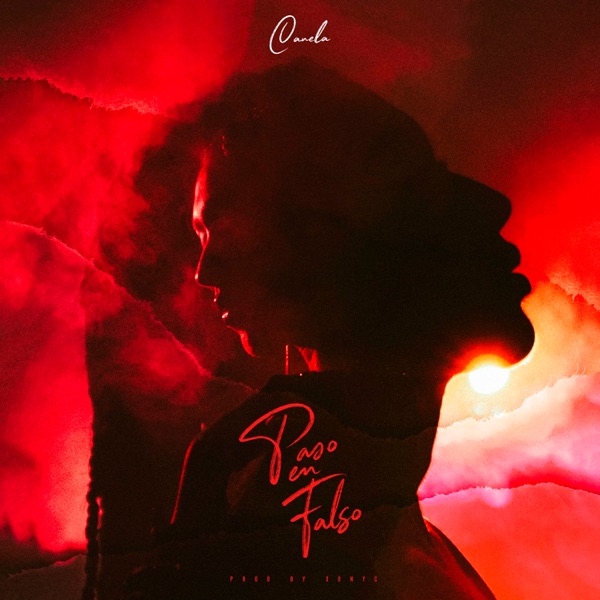Paso en Falso - Single album cover
